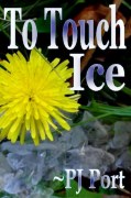 To Touch Ice's book page link to To Touch Ice's book page